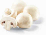 Champignons weiß im Angebot bei Netto Marken-Discount in Chemnitz Champignons weiß Angebote bei Netto Marken-Discount Chemnitz für 1,69 €