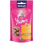Vitakraft® Cat Yums® + Käse 40 g im Angebot bei Zookauf in Bremen Vitakraft® Cat Yums® + Käse 40 g Angebote von Vitakraft bei Zookauf Bremen für 1,29 €