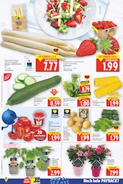 E center Obst im Prospekt E center Obst im Prospekt