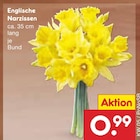 Aktuelles Englische Narzissen Angebot bei Netto Marken-Discount in Hamburg ab 0,99 €