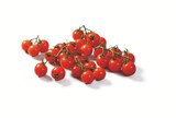 Cherrystrauchtomaten Angebot in Westoverledingen Cherrystrauchtomaten im aktuellen Prospekt bei Lidl in Westoverledingen
