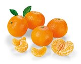 Mandarinen bei REWE im Prospekt "" für 2,22 €
