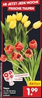 Tulpen Angebote bei Netto Marken-Discount Görlitz für 1,99 €