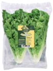 Aktuelle Salat Angebote bei Marktkauf in Hamburg Aktuelles Salatherzen Mini Romana Angebot bei Marktkauf in Hamburg ab 1,49 €