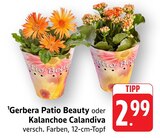 E center Nürtingen Prospekt mit  im Angebot für 2,99 €