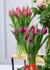 15 TULIPES - U en promo chez Super U Grasse à 6,59 €