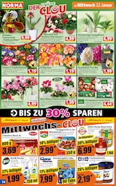 Aktueller Norma Prospekt mit Orchidee, "Mehr fürs Geld", Seite 14