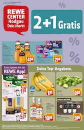 REWE Prospekt "Dein Markt" für Rodgau, 36 Seiten, 04.11.2024 - 09.11.2024