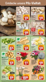 Ähnliche Streusalz Angebote im Prospekt "Dein Markt" von REWE in Völklingen Ähnliche Angebote wie Streusalz im Prospekt "Dein Markt" auf Seite 7 von REWE in Völklingen