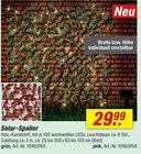 toom Baumarkt Heide - Solar-Spalier Angebot im Prospekt Solar-Spalier bei toom Baumarkt im Heide Prospekt für 29,99 €