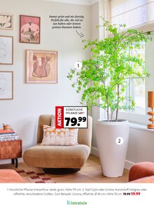 Pfanne im Moubis Pflanzenhof Prospekt "Bring Schwung in dein Zuhause" mit 29 Seiten (Münster)