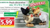 Promo Poule décorative noir à 5,99 € dans le catalogue Norma à Héricourt
