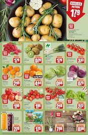 Blumen im REWE Prospekt in Aschaffenburg Aktueller REWE Prospekt mit Blumen, "Dein Markt", Seite 10