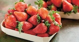 Intermarché Super Vienne - Promo Fraise Ronde Promo Fraise Ronde à 1,99 € dans le catalogue Intermarché Super à Vienne