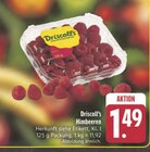 EDEKA Ebern Prospekt mit  im Angebot für 1,49 €