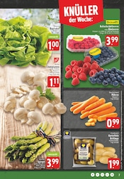 Spargel im EDEKA Prospekt in Paderborn Aktueller EDEKA Prospekt mit Spargel, "Aktuelle Angebote", Seite 7