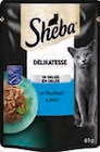 Katzen Nassnahrung Delikatesse im Angebot bei EDEKA in Stade Katzen Nassnahrung Delikatesse Angebote von Sheba bei EDEKA Stade für 0,49 €