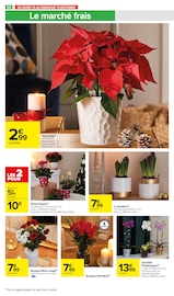 Orchidée Angebote im Prospekt "JOYEUX NOËL & MEILLEURS PRIX" von Carrefour Market auf Seite 56