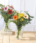 Bouquet Composé Holidays - U Express à Argenteuil Bouquet Composé Holidays en promo chez U Express Argenteuil à 4,99 €