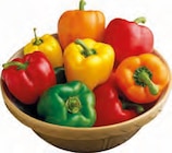 Paprika Angebote bei EDEKA Pinneberg für 3,99 €