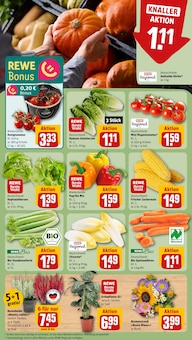 Pflanzen im aktuellen REWE Prospekt (Bielefeld) Pflanzen im REWE Prospekt "Dein Markt" mit 16 Seiten (Bielefeld)