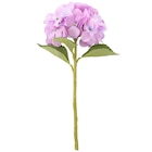 Kunstblume Hortensie Angebote bei Ernstings family Dormagen für 5,99 €