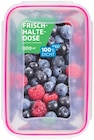 Frischhaltedose im Angebot bei REWE in Heidelberg Frischhaltedose Angebote von Vivess bei REWE Heidelberg für 2,99 €