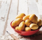 U Express Les Mureaux - Promo Pomme de terre de consommation à chair ferme Promo Pomme de terre de consommation à chair ferme à 2,25 € dans le catalogue U Express à Les Mureaux