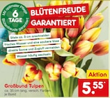 Großbund Tulpen von  im aktuellen Netto Marken-Discount Prospekt für 5,55 €
