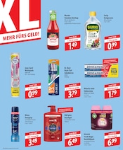 Aktueller famila Nordost Prospekt mit Nivea, "besser als gut!", Seite 15