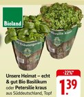 Unsere Heimat – echt & gut Bio Basilikum oder Petersilie kraus bei EDEKA im Prospekt "" für 1,39 €