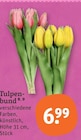 Aktuelle Tulpen Angebote bei tegut in Stuttgart Aktuelles Tulpenbund Angebot bei tegut in Stuttgart ab 6,99 €