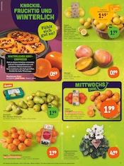 Aktueller tegut Prospekt mit Zimmerpflanzen, "tegut… gute Lebensmittel", Seite 5