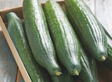 Promo Concombre à 1,58 € dans le catalogue Intermarché à Dijon