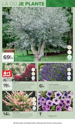 Offre Crevettes dans le catalogue Carrefour du moment à la page 5