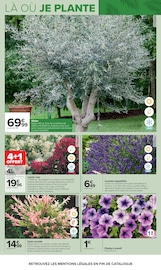 Promos Crevettes dans le catalogue "JARDIN, LÀ OÙ LA VIE SE CULTIVE" de Carrefour Crevettes en promo dans le catalogue Carrefour à la page 5