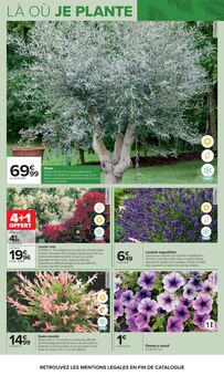 Promotion Jasmin dans le prospectus Carrefour, valable du 14/04/2026 au 27/04/2026 Promo Jasmin dans le catalogue Carrefour du moment à la page 5