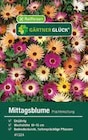 Mittagsblume Prachtmischung bei Raiffeisenmarkt im Prospekt "" für 0,39 €