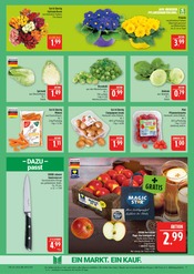 Aktueller Marktkauf Prospekt mit Pflanzen, "AUSWAHL RIESIG, PREISE NIEDRIG", Seite 9