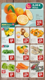 nahkauf Orangen im Prospekt 