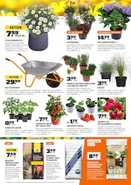 OBI Stauder im Prospekt 