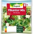 Pikanter Mix Angebote von Bonduelle bei REWE Kempten für 1,59 €