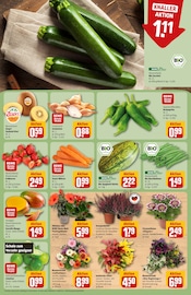 Blumen Angebote im Prospekt "Dein Markt" von REWE Blumen Angebote im Prospekt "Dein Markt" von REWE auf Seite 7