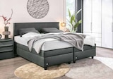 Boxspringbett "Verena" im Segmüller Prospekt Boxspringbett "Verena" von Ruf Betten im aktuellen Segmüller Prospekt für 1.999,00 €