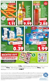 Aktueller Kaufland Prospekt mit Tierfutter, "KNÜLLER", Seite 5