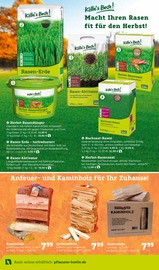 Herbstrasendünger Angebote im Prospekt "Bunte Jahreszeit!" von Pflanzen Kölle auf Seite 8