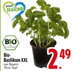 Bio-Basilikum XXL Angebote von Bio bei EDEKA Augsburg für 2,49 €