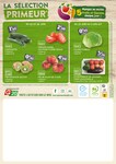 Fruits Et Légumes Fruits Et Légumes