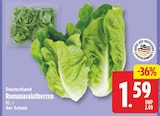 Romanasalatherzen für 1,59 € bei EDEKA im Angebot Romanasalatherzen im aktuellen EDEKA Prospekt