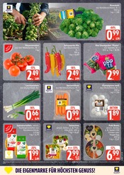 Paprika im EDEKA Prospekt in Seevetal Aktueller EDEKA Prospekt mit Paprika, "Top Angebote", Seite 5